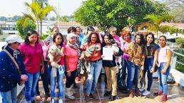 Exigen apoyo para cuidado animal en Morelos