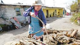 El frío les cala hasta los huesos