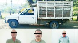 En Tejupilco, abues andaban en naves de ‘Roberto’ 