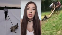 Youtuber impone dieta vegana a zorro y le llueven críticas en lo más viral de la semana