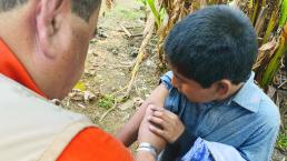 Menores son atacados por abejas en Cuernavaca; uno recibió 200 piquetes