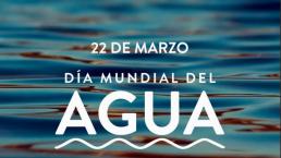 Día Mundial del Agua, ¿conoces cómo debes cuidarla?