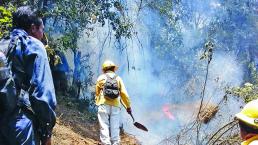 Arrancan brigadas contra incendios, en Morelos