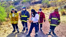 Abejas atacan la fe católica en El Marqués