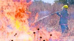 Toman medidas contra incendios forestales; van 71 por temporada de calor