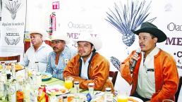 Realizarán encuentro de mezcal en Querétaro 