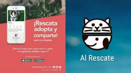 Mexicanos crean app para rescatar y adoptar perros y gatos