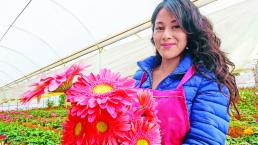 Aumenta 600% venta de flores durante Dia de Madres