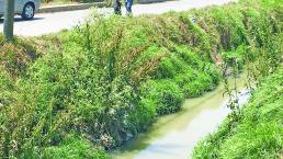 Canal de aguas negras pone en riesgo a niños, en Toluca