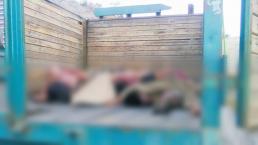 Apilan nueve cadáveres sobre la carretera Tixtla-Chilpancingo