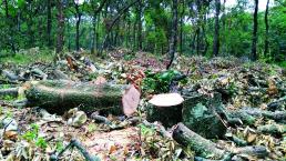 Piden salvar bosque en Jilotepec, Edomex