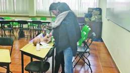 Bebés androides enseñan maternidad en escuelas de Edomex