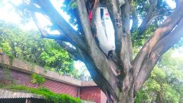 Estudiante de aeronáutica cae sobre patio de casa en Cuernavaca