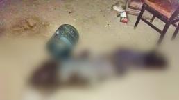 Hallan cadáver de hombre putrefacto en una casa abandonada, en Tlayacapan