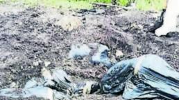 Encuentran seis cuerpos envueltos con plástico en Irapuato