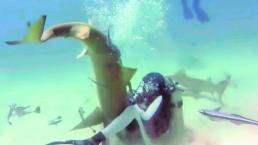 Buzo le quita anzuelos a un tiburón, en las Bahamas