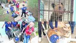Rescatan a animales de zoológico "chafa", en Albania