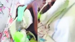 Mujer enferma y entubada se llena de hormigas en hospital, en Italia