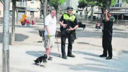 Multarán por no limpiar con agua orines de mascotas en las calles, en España