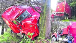 Tráiler cargado de refrescos se estampa contra árbol, en Zinacantepec 