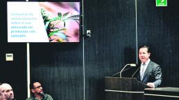 Cofepris autoriza la venta de 38 productos con marihuana, en México