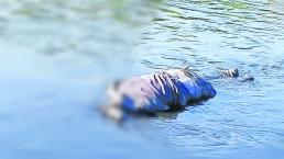 Hallan cuerpo de hombre en corriente del Río Lerma, en Temoaya