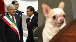 Maratón de memes se desata con la llegada de AMLO a la Presidencia de México