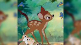 Condenan a cazador furtivo a ver 'Bambi' 