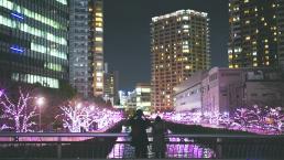 Iluminan con LED los míticos cerezos de Tokio