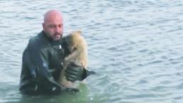 Policía arriesga su vida para rescatar a perro de morir congelado, en Turquía