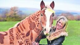 Mujer plasma arte en piel de caballos, en Inglaterra 