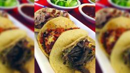 Prueba la deliciosa birria que te quitará hasta la cruda, en Toluca