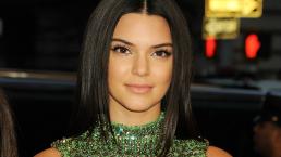 KENDALL JENNER DESNUDA SIN ROPA