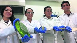 Biovatec UAEM Estudiantes Univel Biodegradable
