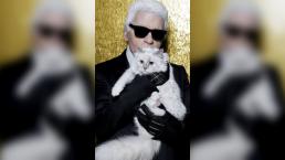 Chanel muere diseñador moda Fendi parís estado de salud delicada gata Choupette