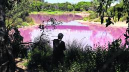 Australia Melbourne Lago Rosa Salinidad
