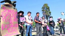 Protestas maltrato animal Toluca