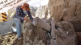 Hallan restos de mamut Tultepec Estado de México