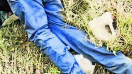 Hallan cuerpo de un hombre con un balazo en la frente en Morelos