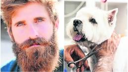barbas largas más bacterias perro