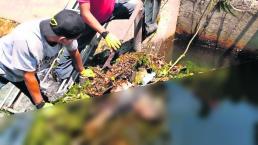 Hallan cadáver Sin identificar Canal Desechos de basura Morelos