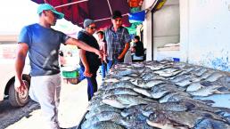 Coprisem Detectan mojarras contaminadas Edoméx Toluca