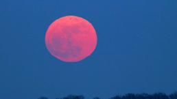 Qué es la luna rosa y cuándo podrás verla