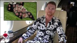 Canelo lanza polémica foto sobre su traje de pandas