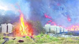 Se pierden tres mil hectáreas por los incendios en la CDMX