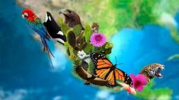 dia internacional de la diversidad biológica fecha por que se celebra 22 de mayo