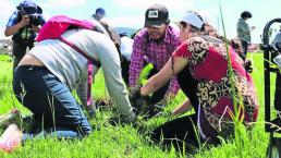 campaña reforestación árboles toluca 