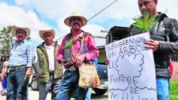 comuneros pobladores cadena humana protestan contra tala clandestina árboles ocuilan edomex mexico
