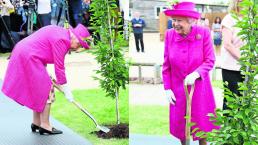 Reina Isabel II planta árbol