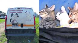 mascotas rescate ambulancias primeros auxilios gatos perros atención médica adopción esterilización centro de control animal toluca